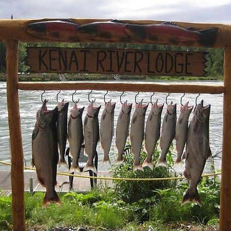 Kenai River Lodge 솔도트나 외부 사진