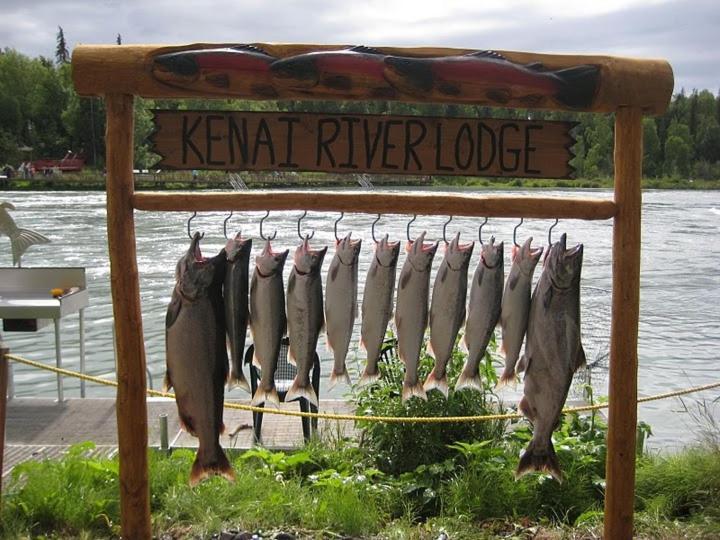 Kenai River Lodge 솔도트나 외부 사진